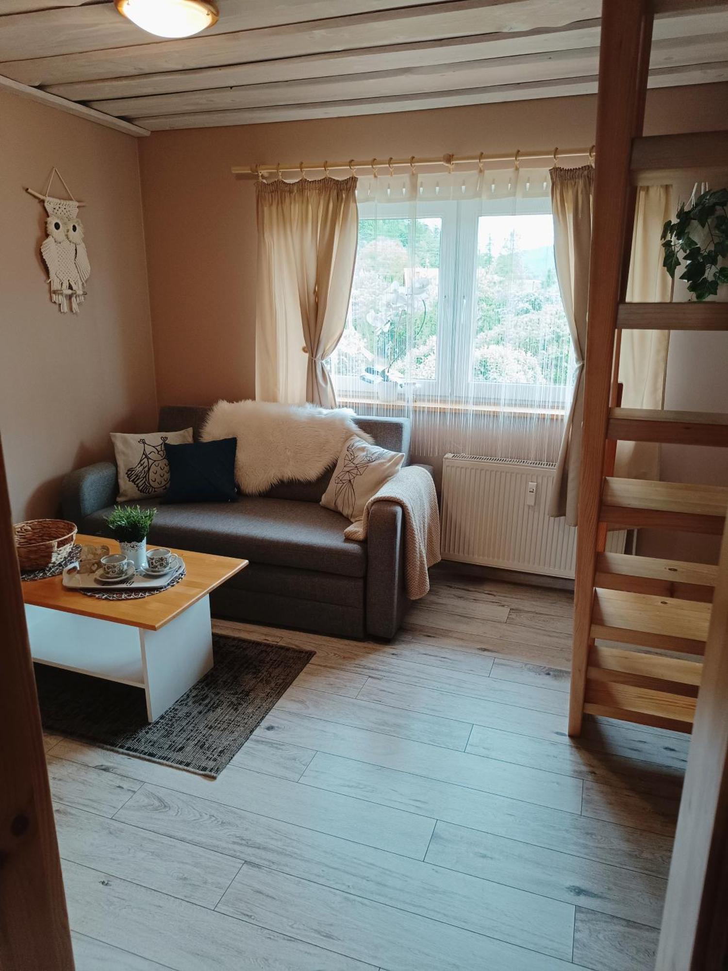 Rodzinny Zakatek "U Gluszkow" Bieszczady ミチュコフツェ エクステリア 写真