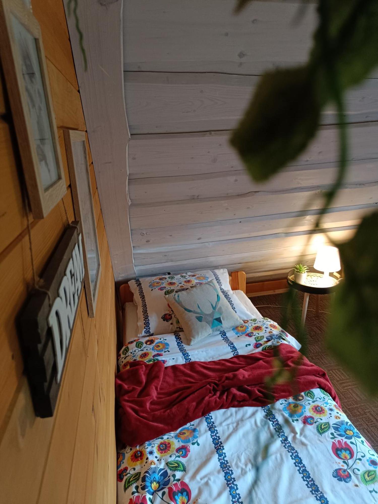 Rodzinny Zakatek "U Gluszkow" Bieszczady ミチュコフツェ エクステリア 写真